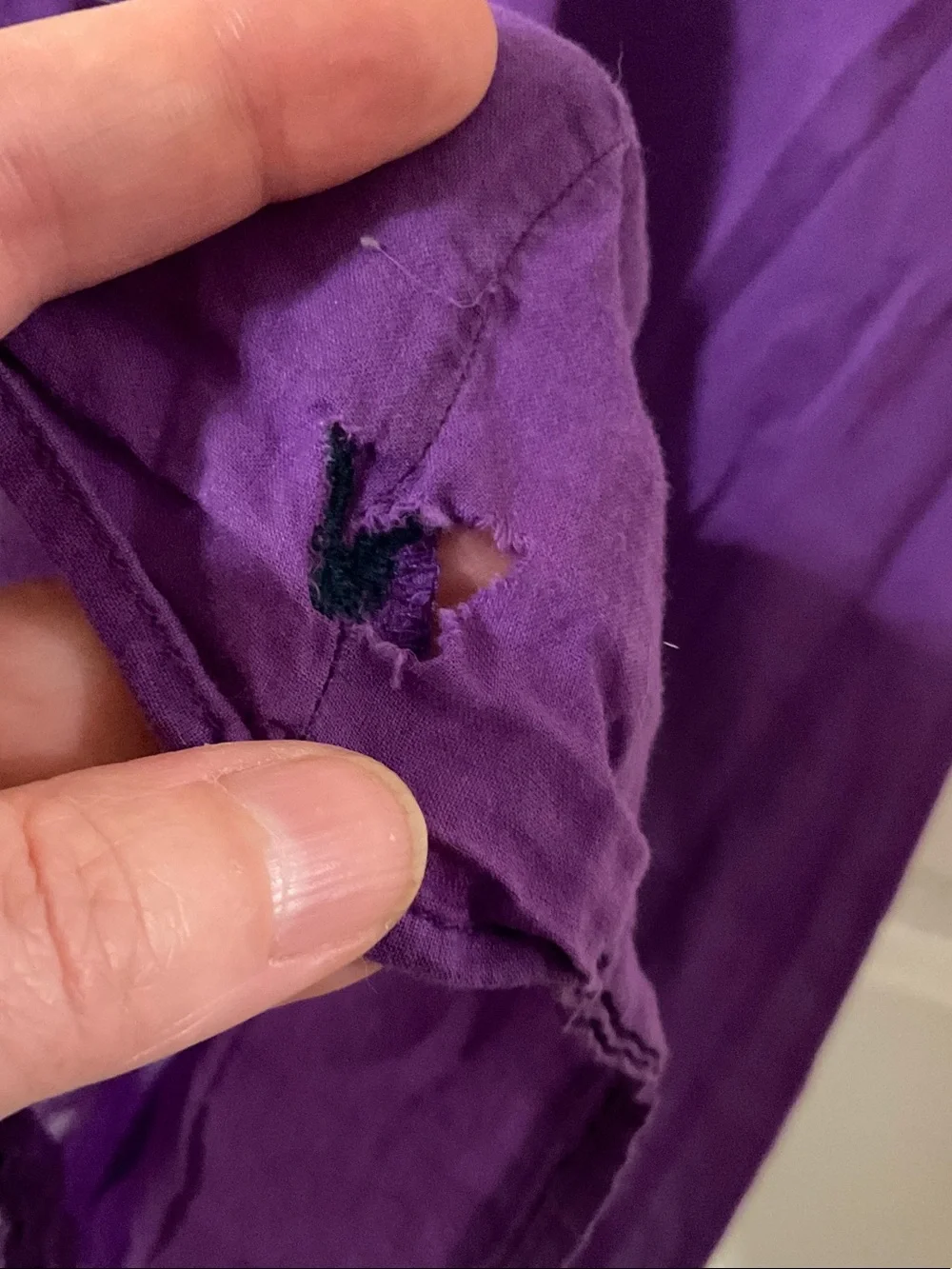 American Eagle Outfitters Purple Short-Sleeve Peasant Blouse - Picture 5 of 5